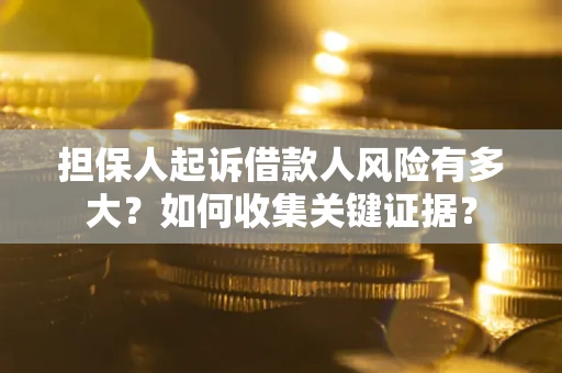 武汉担保人起诉借款人风险有多大？如何收集关键证据？