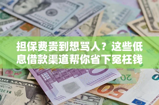 武汉担保费贵到想骂人？这些低息借款渠道帮你省下冤枉钱