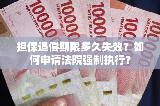 武汉担保追偿期限多久失效？如何申请法院强制执行？