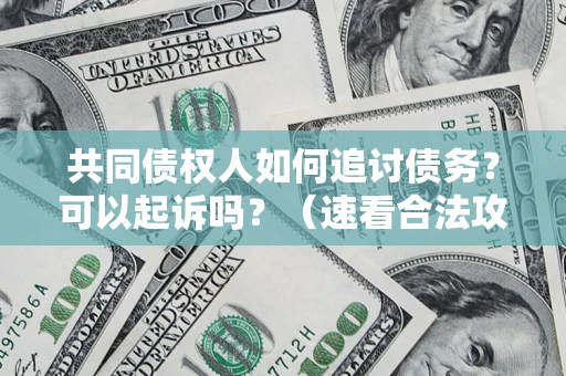 武汉共同债权人如何追讨债务？可以起诉吗？（速看合法攻略）