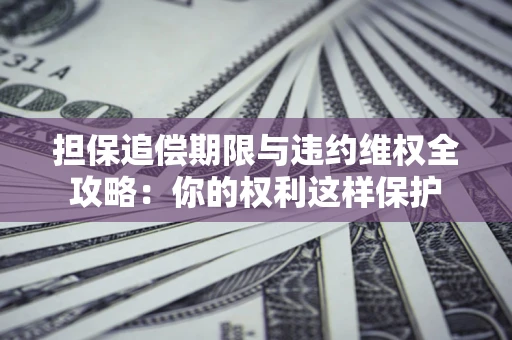 武汉担保追偿期限与违约维权全攻略：你的权利这样保护