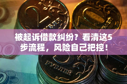 武汉被起诉借款纠纷？看清这5步流程，风险自己把控！